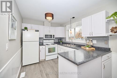 7405 Susan Crescent, Niagara Falls (220 - Oldfield), ON - Indoor Photo Showing Kitchen With Double Sink