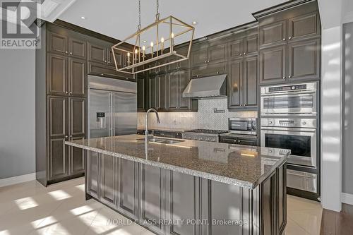 81 Wellspring Avenue, Richmond Hill, ON - Indoor Photo Showing Kitchen With Double Sink With Upgraded Kitchen