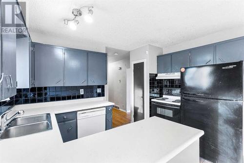 1515 43 Street Se, Calgary, AB - Indoor Photo Showing Kitchen With Double Sink