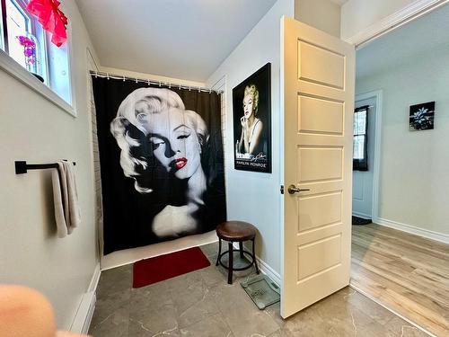 Bathroom - 17 Rue Santerre, Saint-André-D'Argenteuil, QC - Indoor Photo Showing Other Room