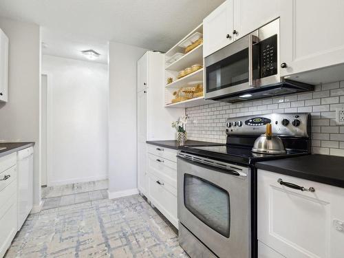 Kitchen - 203-134 Rue De Lausanne, Gatineau (Gatineau), QC - Indoor Photo Showing Kitchen With Upgraded Kitchen