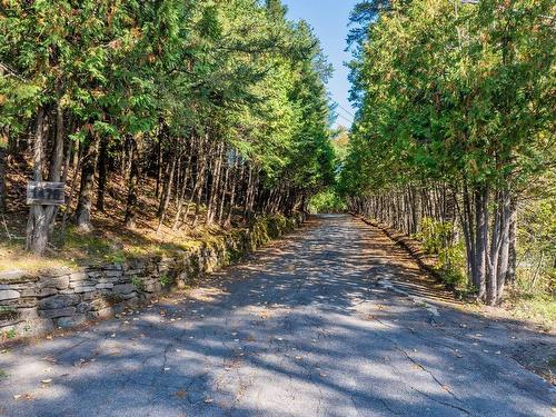 Stationnement - 1470 Rue Labelle, Mont-Tremblant, QC - Outdoor With View