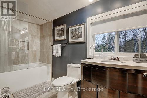 209846 Highway 26, Blue Mountains, ON - Indoor Photo Showing Bathroom