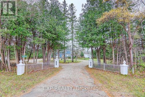 209846 Highway 26, Blue Mountains, ON - Outdoor