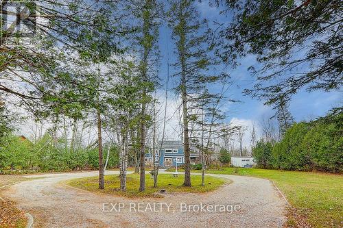 209846 Highway 26, Blue Mountains, ON - Outdoor With View