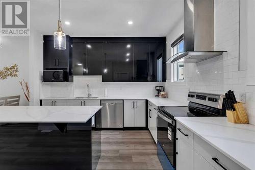 519 Corner Meadows Square Ne, Calgary, AB - Indoor Photo Showing Kitchen With Upgraded Kitchen