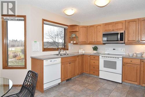 175 Douglasbank Drive Se, Calgary, AB - Indoor Photo Showing Kitchen With Double Sink