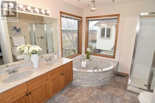 175 Douglasbank Drive Se, Calgary, AB - Indoor Photo Showing Bathroom