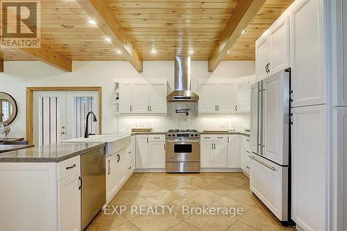 53 Broadview Street, Collingwood, ON - Indoor Photo Showing Kitchen With Stainless Steel Kitchen With Upgraded Kitchen