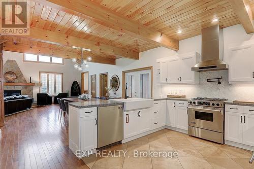 53 Broadview Street, Collingwood, ON - Indoor Photo Showing Kitchen With Upgraded Kitchen