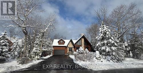 53 Broadview Street, Collingwood, ON - Outdoor