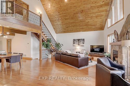 53 Broadview Street, Collingwood, ON - Indoor Photo Showing Living Room With Fireplace