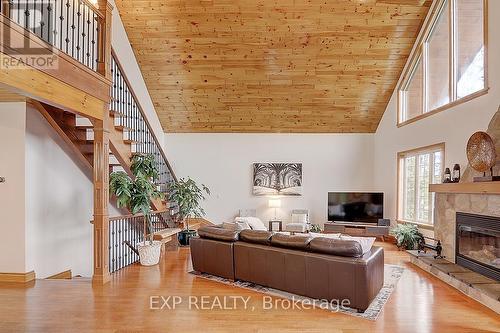 53 Broadview Street, Collingwood, ON - Indoor Photo Showing Living Room With Fireplace