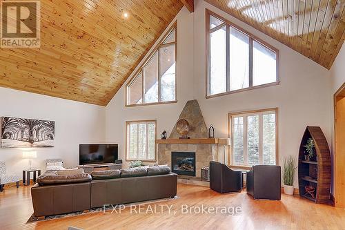 53 Broadview Street, Collingwood, ON - Indoor Photo Showing Living Room With Fireplace