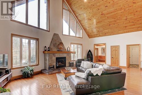 53 Broadview Street, Collingwood, ON - Indoor Photo Showing Living Room With Fireplace