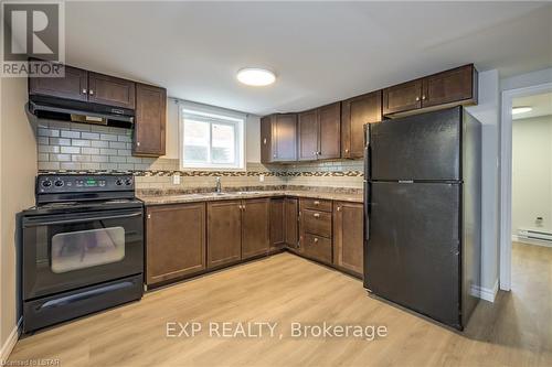 Lower - 594 Southdale Road E, London, ON - Indoor Photo Showing Kitchen With Double Sink