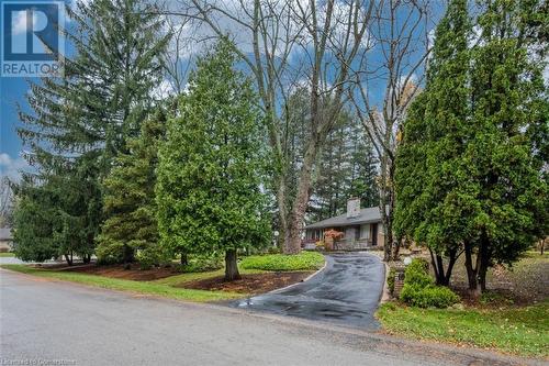 View of property hidden behind natural elements - 103 Mcgregor Crescent, Ancaster, ON - Outdoor