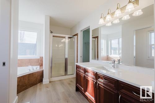 8017 Shaske Dr Nw, Edmonton, AB - Indoor Photo Showing Bathroom