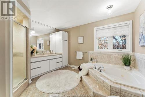 991 Woodland Crescent, Lakeshore, ON - Indoor Photo Showing Bathroom