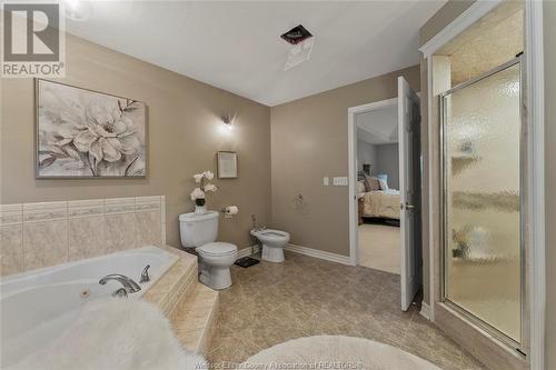 991 Woodland Crescent, Lakeshore, ON - Indoor Photo Showing Bathroom