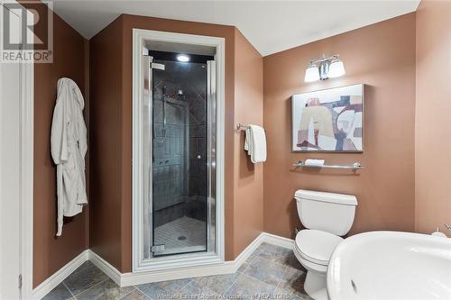 991 Woodland Crescent, Lakeshore, ON - Indoor Photo Showing Bathroom