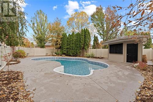 991 Woodland Crescent, Lakeshore, ON - Outdoor With In Ground Pool With Backyard