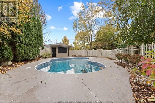 991 Woodland Crescent, Lakeshore, ON - Outdoor With In Ground Pool With Backyard