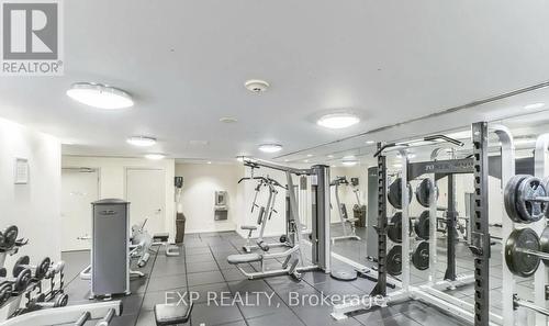 202 - 225 Webb Drive, Mississauga, ON - Indoor Photo Showing Gym Room