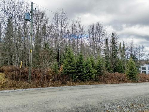 Terre/Terrain - Rue De La Montée, Eastman, QC 