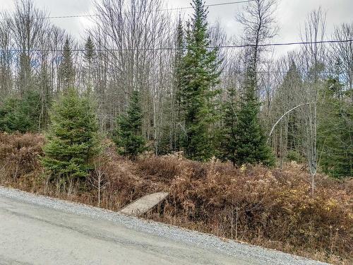 Terre/Terrain - Rue De La Montée, Eastman, QC 