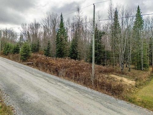 Terre/Terrain - Rue De La Montée, Eastman, QC 