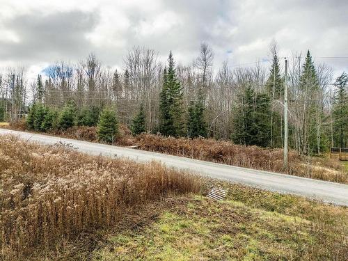 Terre/Terrain - Rue De La Montée, Eastman, QC 