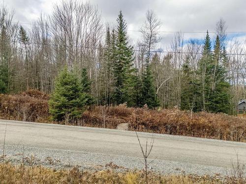 Terre/Terrain - Rue De La Montée, Eastman, QC 