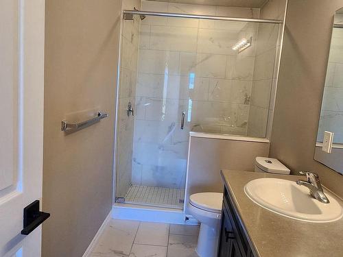 114 Wheat Lane, Kitchener, ON - Indoor Photo Showing Bathroom