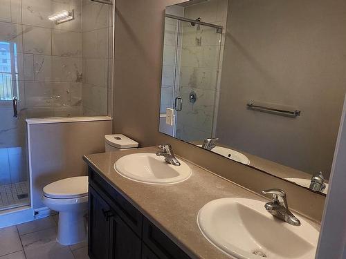 114 Wheat Lane, Kitchener, ON - Indoor Photo Showing Bathroom