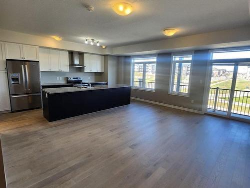 114 Wheat Lane, Kitchener, ON - Indoor Photo Showing Kitchen With Stainless Steel Kitchen