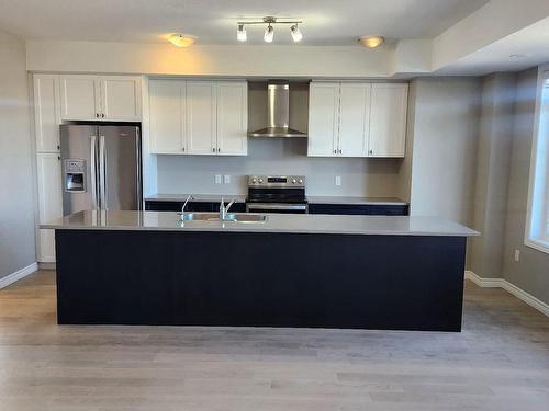 114 Wheat Lane, Kitchener, ON - Indoor Photo Showing Kitchen With Stainless Steel Kitchen With Double Sink