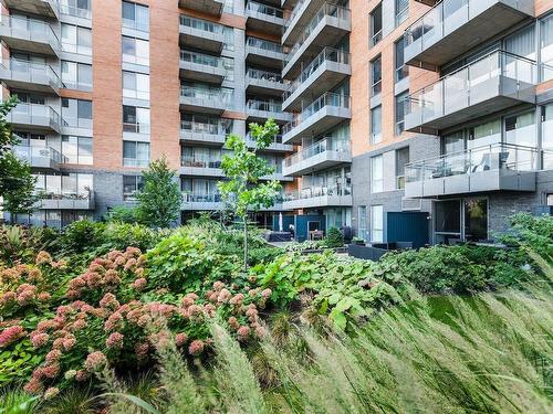 Garden - 314-360 Rue Atateken, Montréal (Ville-Marie), QC - Outdoor With Facade