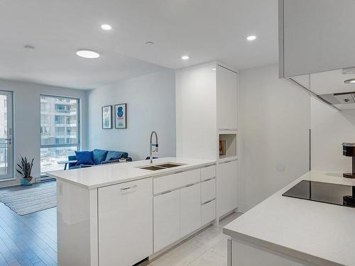 Kitchen - 314-360 Rue Atateken, Montréal (Ville-Marie), QC - Indoor Photo Showing Kitchen With Double Sink