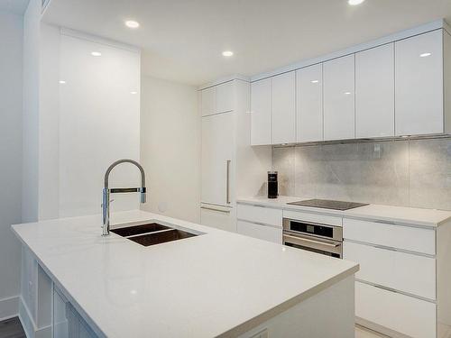 Kitchen - 314-360 Rue Atateken, Montréal (Ville-Marie), QC - Indoor Photo Showing Kitchen With Double Sink With Upgraded Kitchen