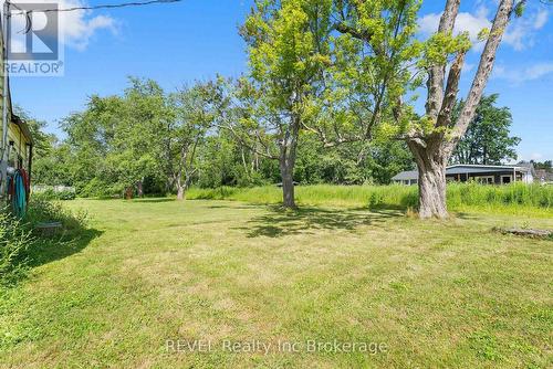 519 Buffalo Road, Fort Erie, ON - Outdoor