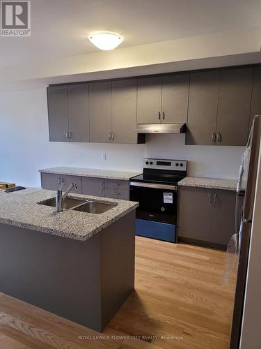 1445 National Common, Burlington, ON - Indoor Photo Showing Kitchen With Double Sink