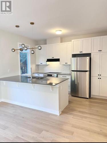 509 Marcato Lane, Ottawa, ON - Indoor Photo Showing Kitchen