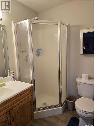 202 304 3Rd Avenue E, Watrous, SK - Indoor Photo Showing Bathroom