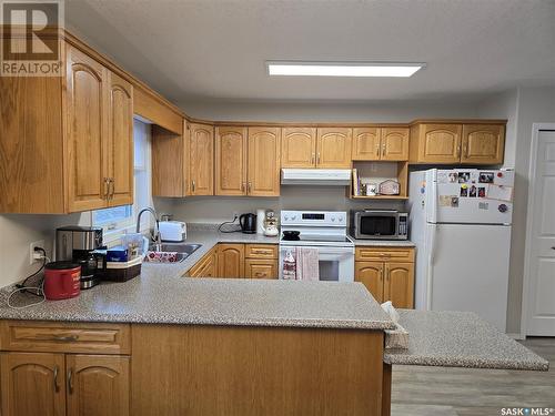 202 304 3Rd Avenue E, Watrous, SK - Indoor Photo Showing Kitchen With Double Sink