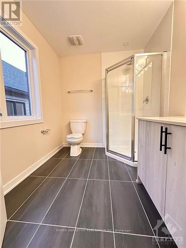 317 Catsfoot Walk, Ottawa, ON - Indoor Photo Showing Bathroom