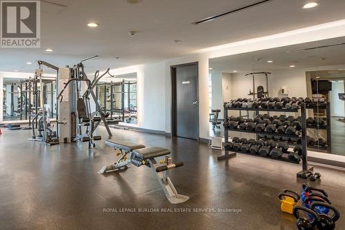 502 - 1940 Ironstone Drive, Burlington, ON - Indoor Photo Showing Gym Room