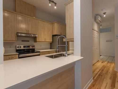 Cuisine - 1-1060 Rue Ste-Élisabeth, Montréal (Ville-Marie), QC - Indoor Photo Showing Kitchen With Double Sink