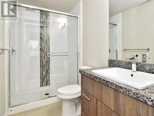 216 12075 Edge Street, Maple Ridge, BC - Indoor Photo Showing Bathroom