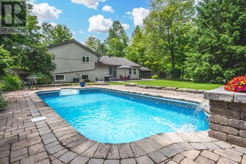 8071 4Th Line, Essa, ON - Outdoor With In Ground Pool With Deck Patio Veranda With Backyard